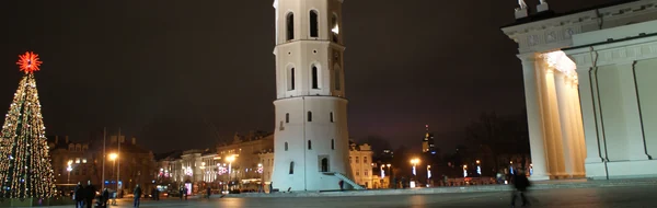 Vilnius Cathedral and Cathedral Square